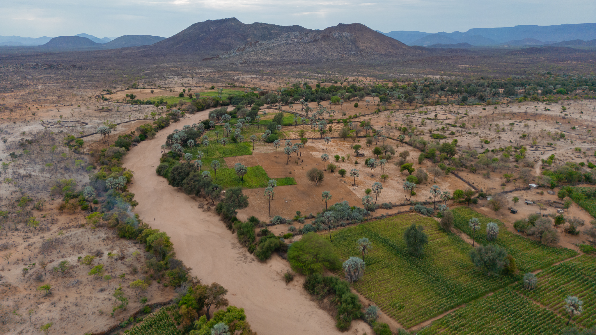 Namibe: empreitada de obras públicas para concepção e construção de sistemas de irrigação